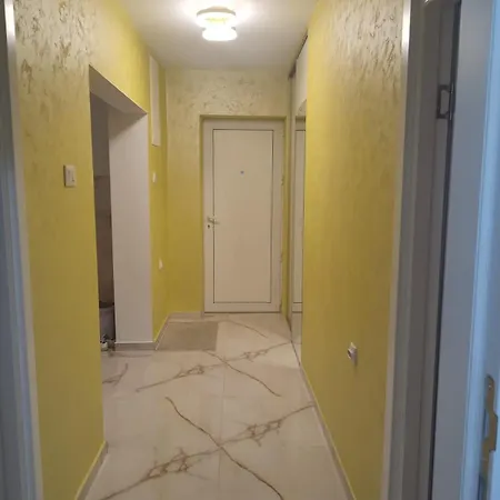 Orhideja * Knjazevac