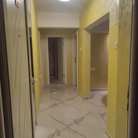 Orhideja * Knjazevac