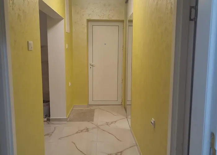 Orhideja * Knjazevac