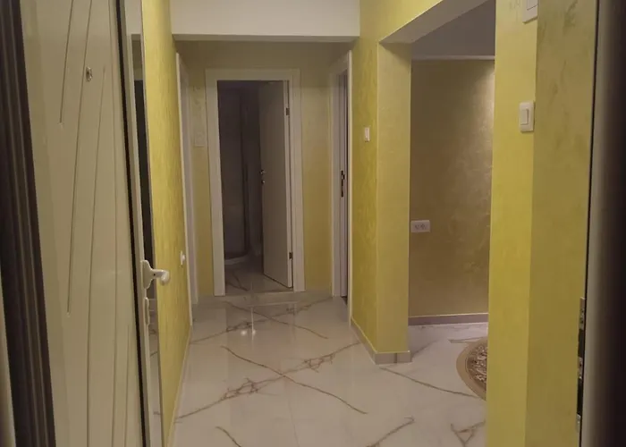 Orhideja * Knjazevac